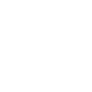 Flutter